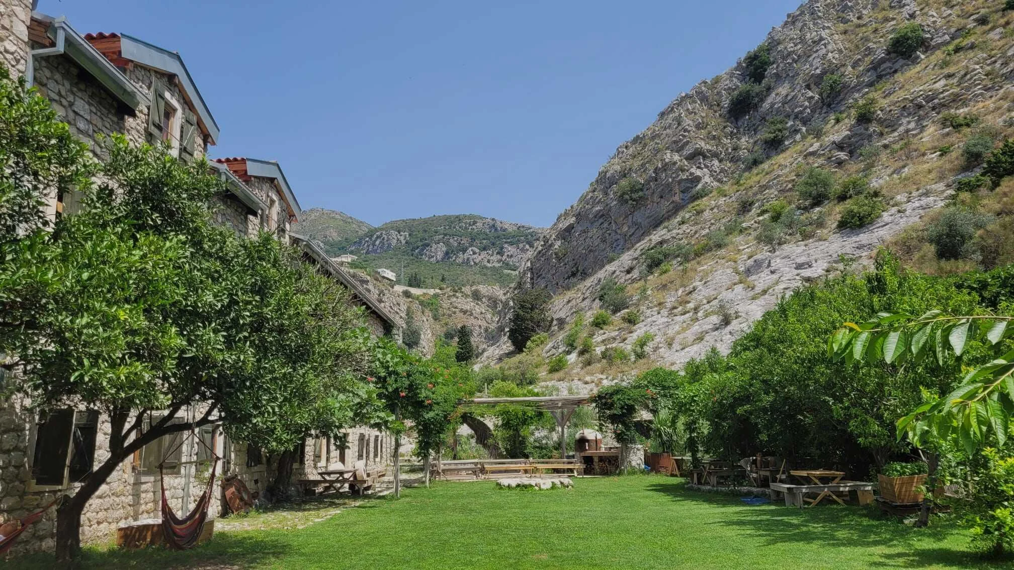 Under the Olive Trees