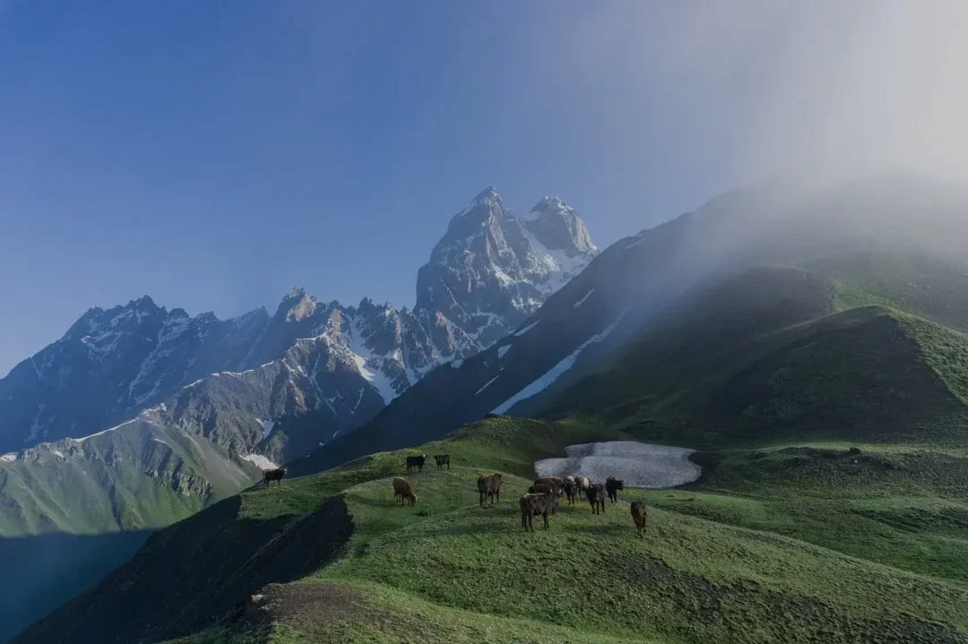 Mount Ushba view