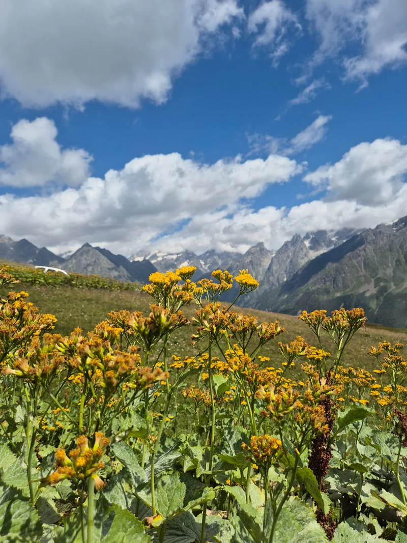 Caucasus mountain trail